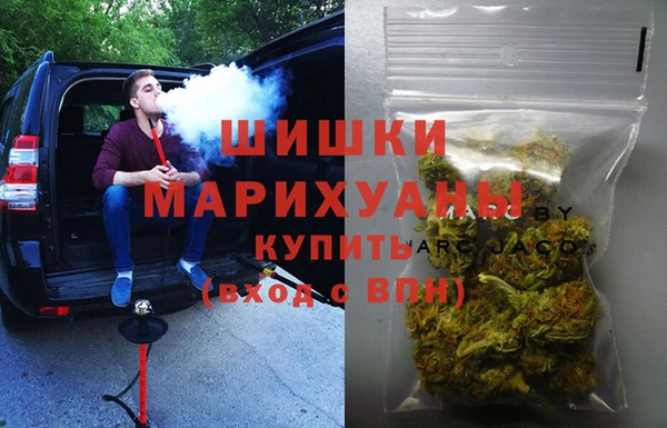 дживик Абаза
