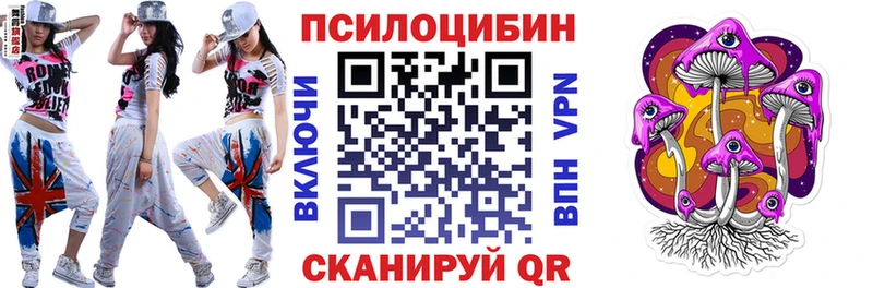 маркетплейс телеграм  Аксай  Галлюциногенные грибы Psilocybine cubensis  наркошоп 